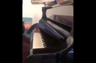 piano challenge