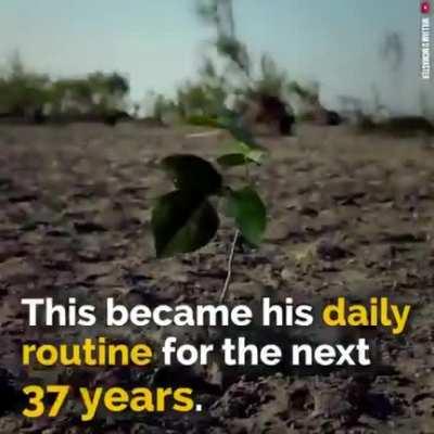 In 1979, Jadav Payeng began planting a tree every day for 37 years — results are stunning