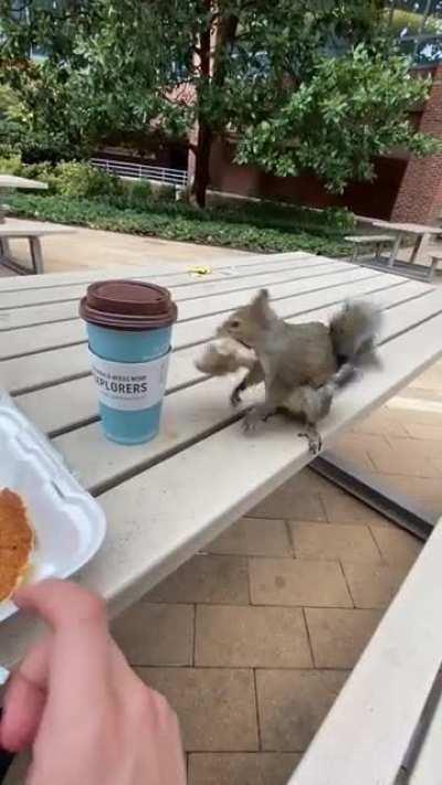 Just trying to eat my pancakes in peace