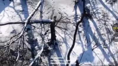 Ukrainian 82nd Air Assault Brigade observed a Russian soldier shooting himself. Kursk Oblast (Russia). February 26, 2025 [NSFW/NSFL]