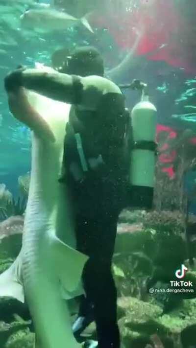 oh my that is adorable