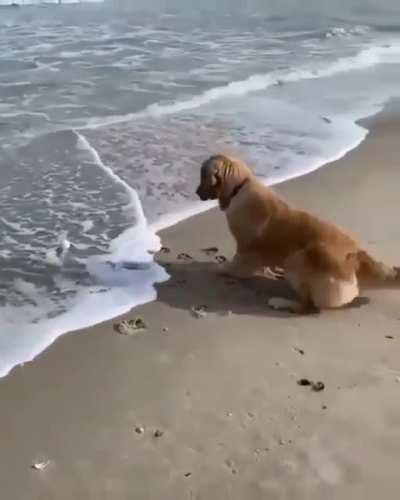 Maybe maybe maybe