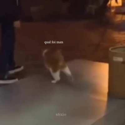 ShitpostBR - Video #6641