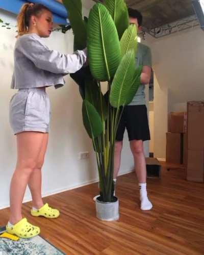 Aus dem Vlog „Ich renoviere mein YouTube Drehzimmer…“