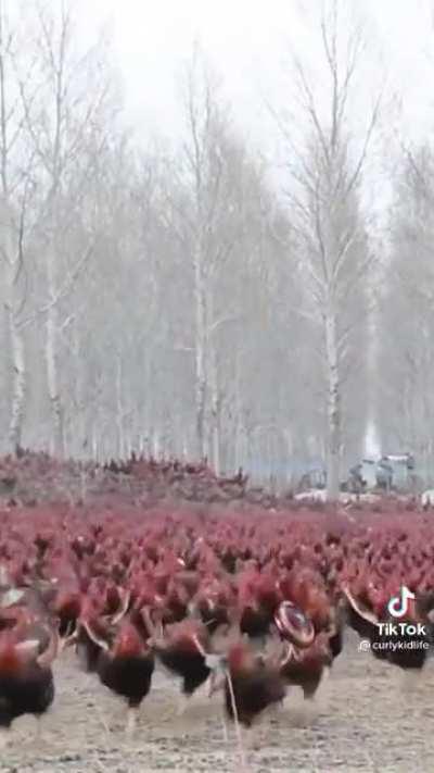 Avengers assemble!! WHAAAAAAA AAAA!!