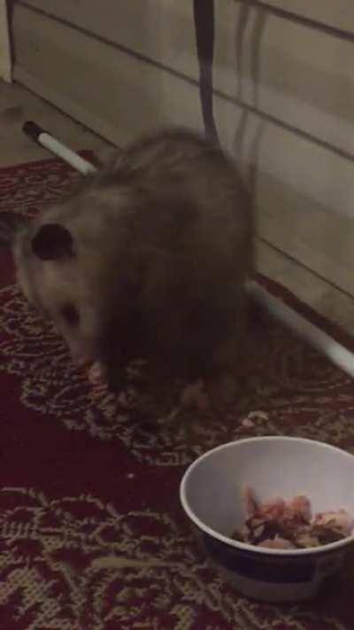 Sometimes he speaks through me.