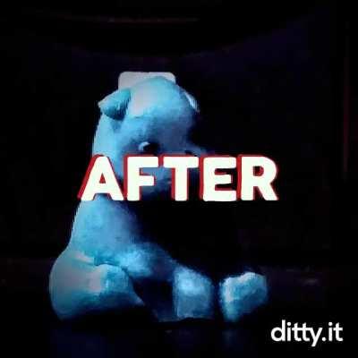 Reaction ditty? Is that a thing?