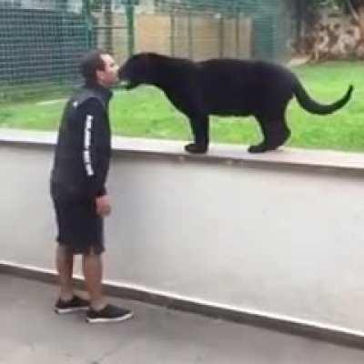 I’ll let you live..for now