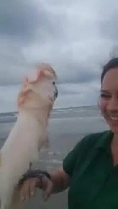 Getting excited for a beach trip!