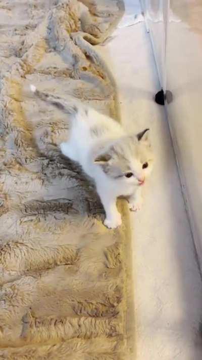 Smol-ist is so HUNGY!