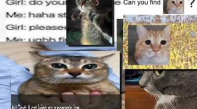 ihaveihaveihaveihaveihaveihaveihave