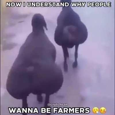 Got damb da goats be makin me nut😩🥵