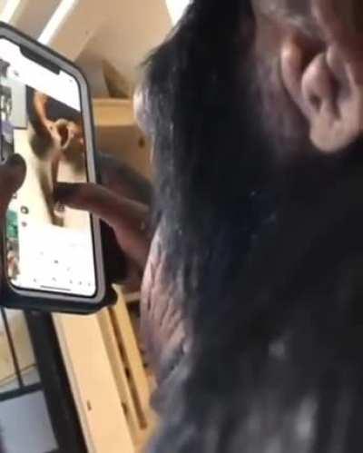 ape using a smartphone