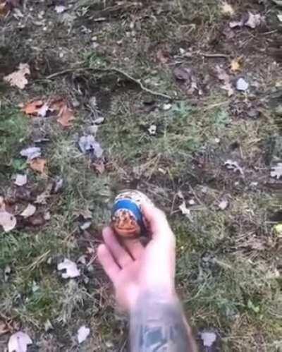 My WHOOOOOSH people need me