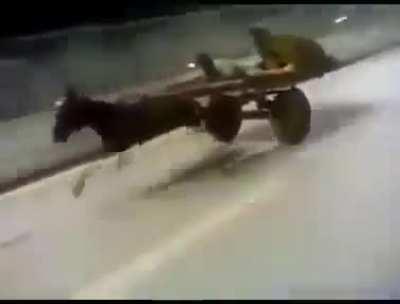 Me after putting the hentai book into the education area of the library: