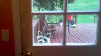 When you put a lock on your trash cans....