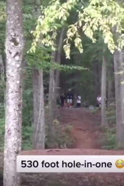 The forbidden Frisbee throw (at what cost).