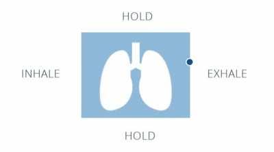 Please upvote this breathing exercise so that xQc can stop malding