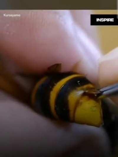 Guy removes huge parasite from bee