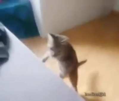 thepatrick20 - Video #1614