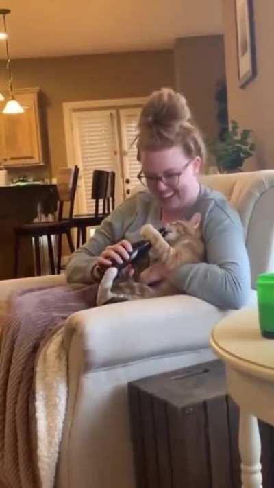 Собутыльники