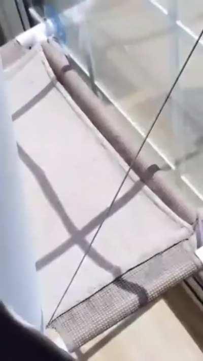 What the Pet Bed Industry doesn’t want you to know