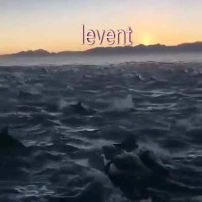 Levent