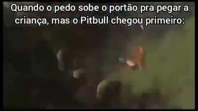 ESTILOZAP - Video #2393