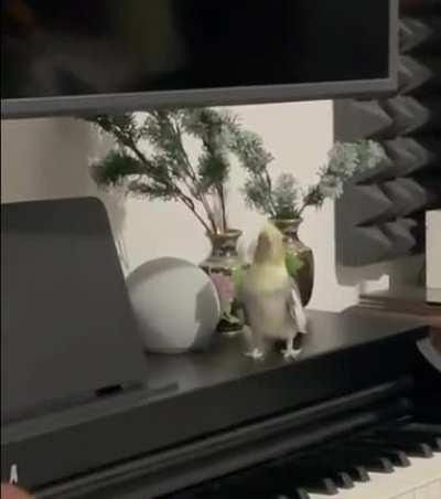 come on play leather for me😅