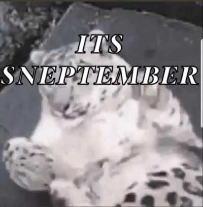 Sneptembet