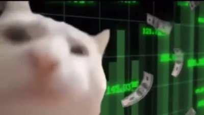 Me after waking up and seeing doge at .42