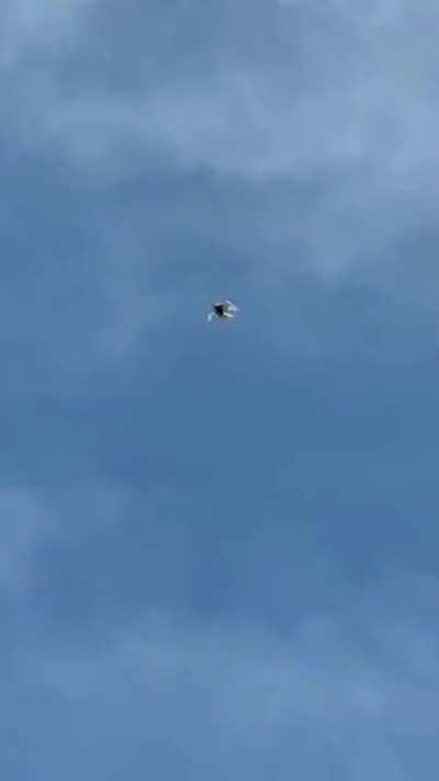 When your dinner is hungrier than you are