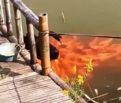 Бля, дайте пожрать