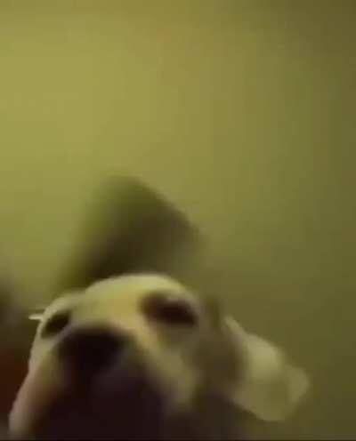 Hello my dudes *Lick our BALLS*