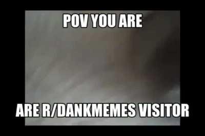 rdankmemes humens ruin our hebitat 🤬🤬🤬🤬🤬🤬🤬🤬🤬🤬🤬🤬🤬🤬🖕🏿🖕🏿🖕🏿🖕🏿😨👎👎😠😠🐵🐵 MONKE and GURIL is ANGERY 🤬🤬🤬🦍🦍 *throw bulder on r/dankmemes rartad*