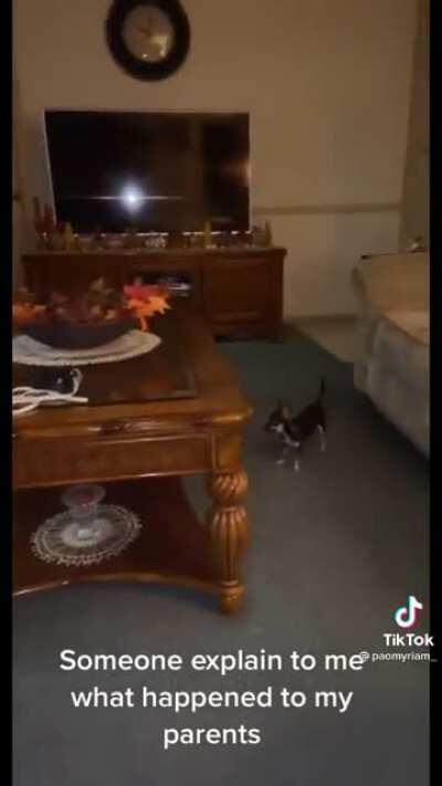 A tail as old as time.