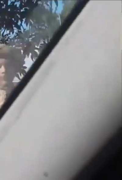 Wook eats mushrooms and chants Hare Krishna