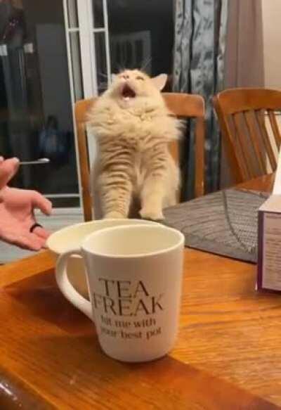 Ever had an ice-cream so good?