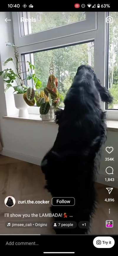 Found this on Instagram.