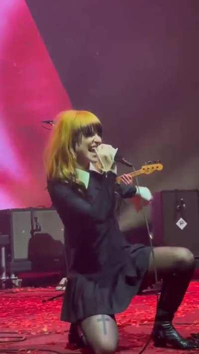 Rose Colored Boy in Ireland April 2023