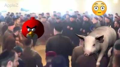 هقنث🤒😱😱HALAL??? PUNJABI DANCE???😳😳144p 24fps AFGHANI DOWNLOAD 😎😎هيتس يهي epic syria sex😂🪓