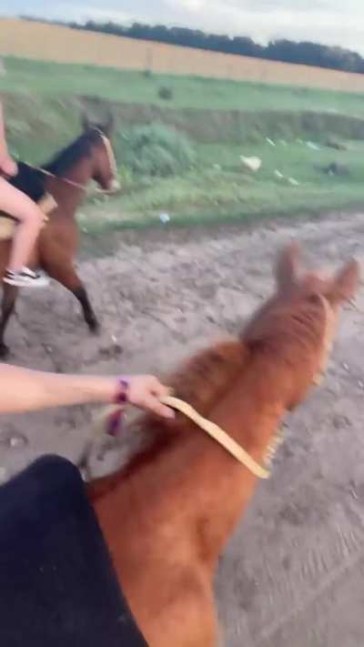 Como que me dieron ganas de ir a vivir al campo