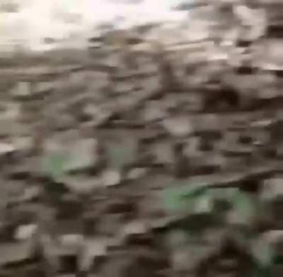 GET OFF YOUR ASS AND GET THISE RED COATS