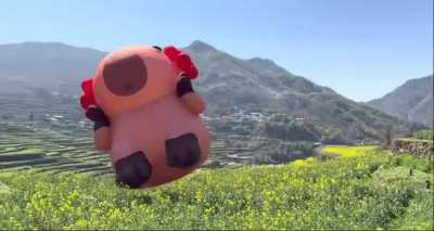 Large capybara spotted floating in Qingce Village, Liyue