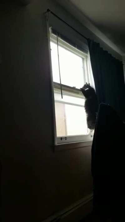 Yup, gravity still works.