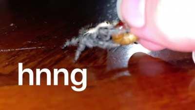 I’ve only had her for 3 days and she’s letting me hand feed