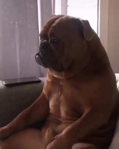 Poor guy can't use the remote