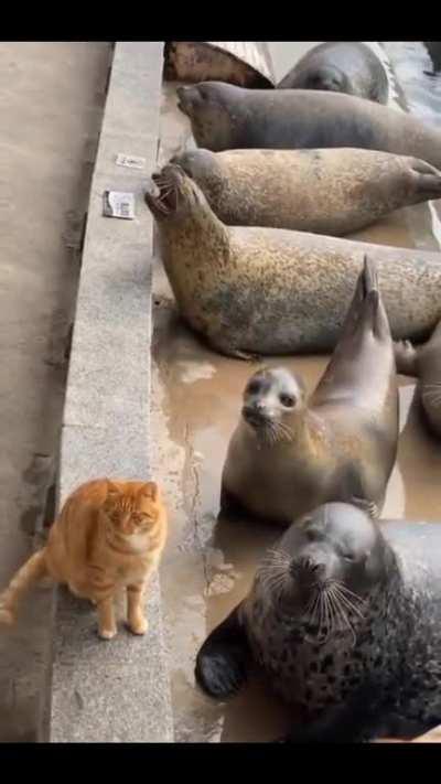 Hey man, why'd I get slapped twice?