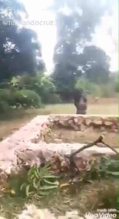 feeling bad for the kid who fell off but i died laughing seeing the other kids running lmao