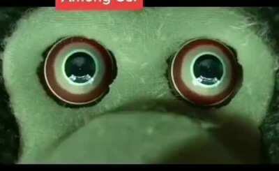 - fue el negro + pruebas? - es negro + aceptable